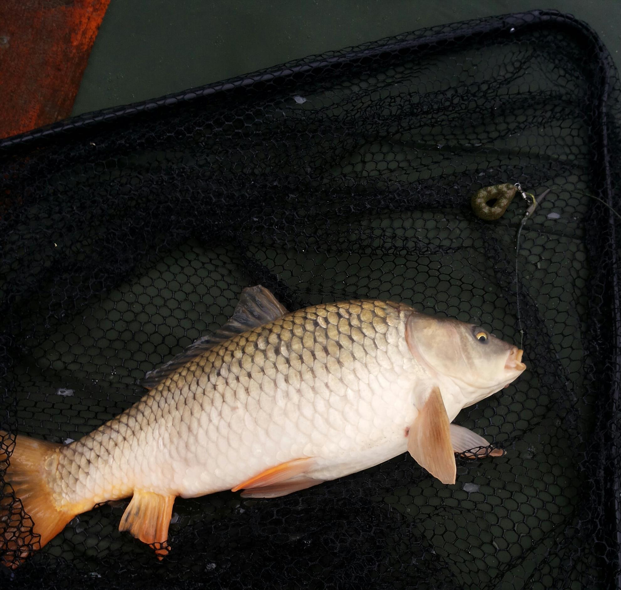 Pleasa 04-05-14 - 20140504092908-1.jpg